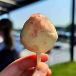 Peach Ice Cream (Viral Asian Peach Ice Cream)