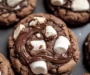 Chocolate Marshmallow Swirl Cookies