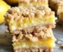 Homemade Lemon Crumb Bars