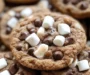 Hot Cocoa Cookies