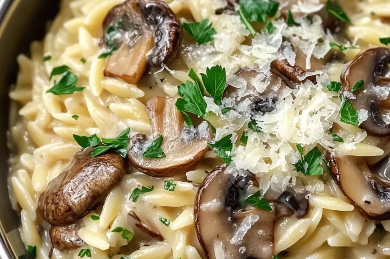 Tasty Orzo with Mushrooms