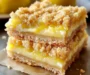 Delightfully Tangy Homemade Lemon Crumb Bars to Cherish