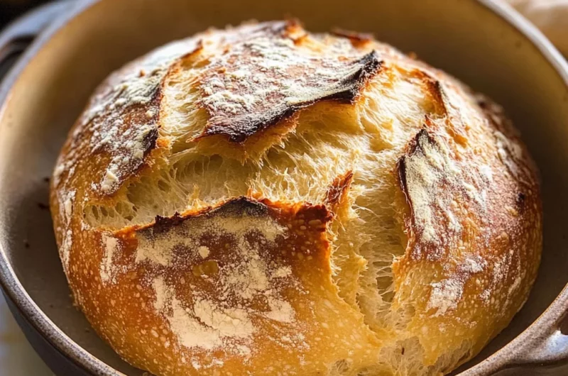 No Knead Crusty Bread